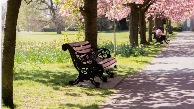 London in the sunshine.