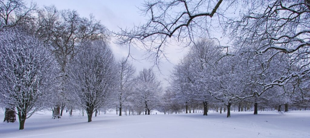 A snowy Hyde Park. Photo: Adrian Houston