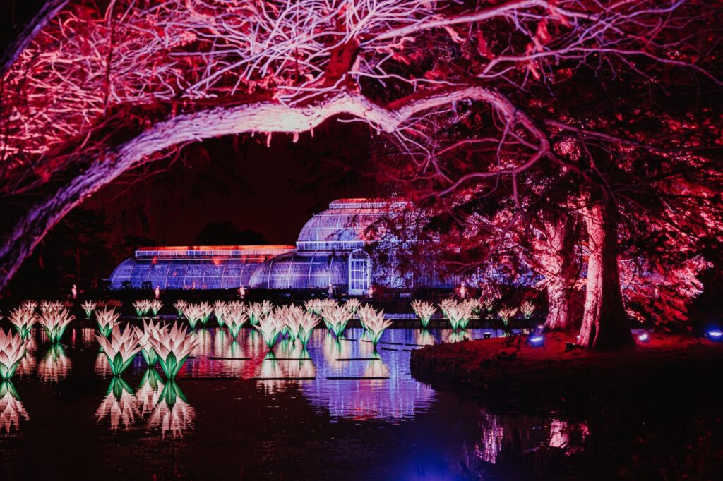 Kew Gardens at Christmas. Photo: Luke Dyson